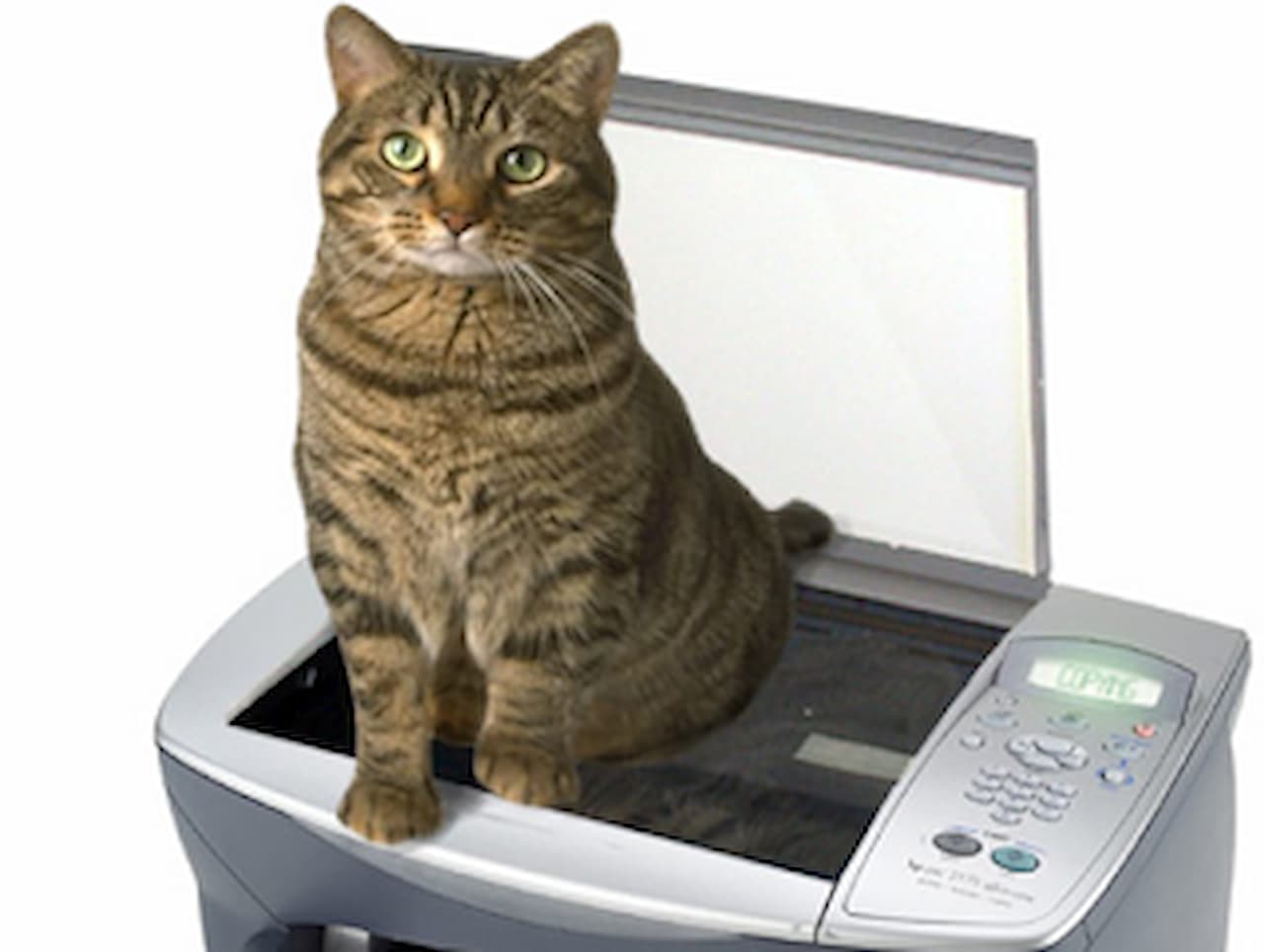 Don’t Copy Spotify, Make it Your Own